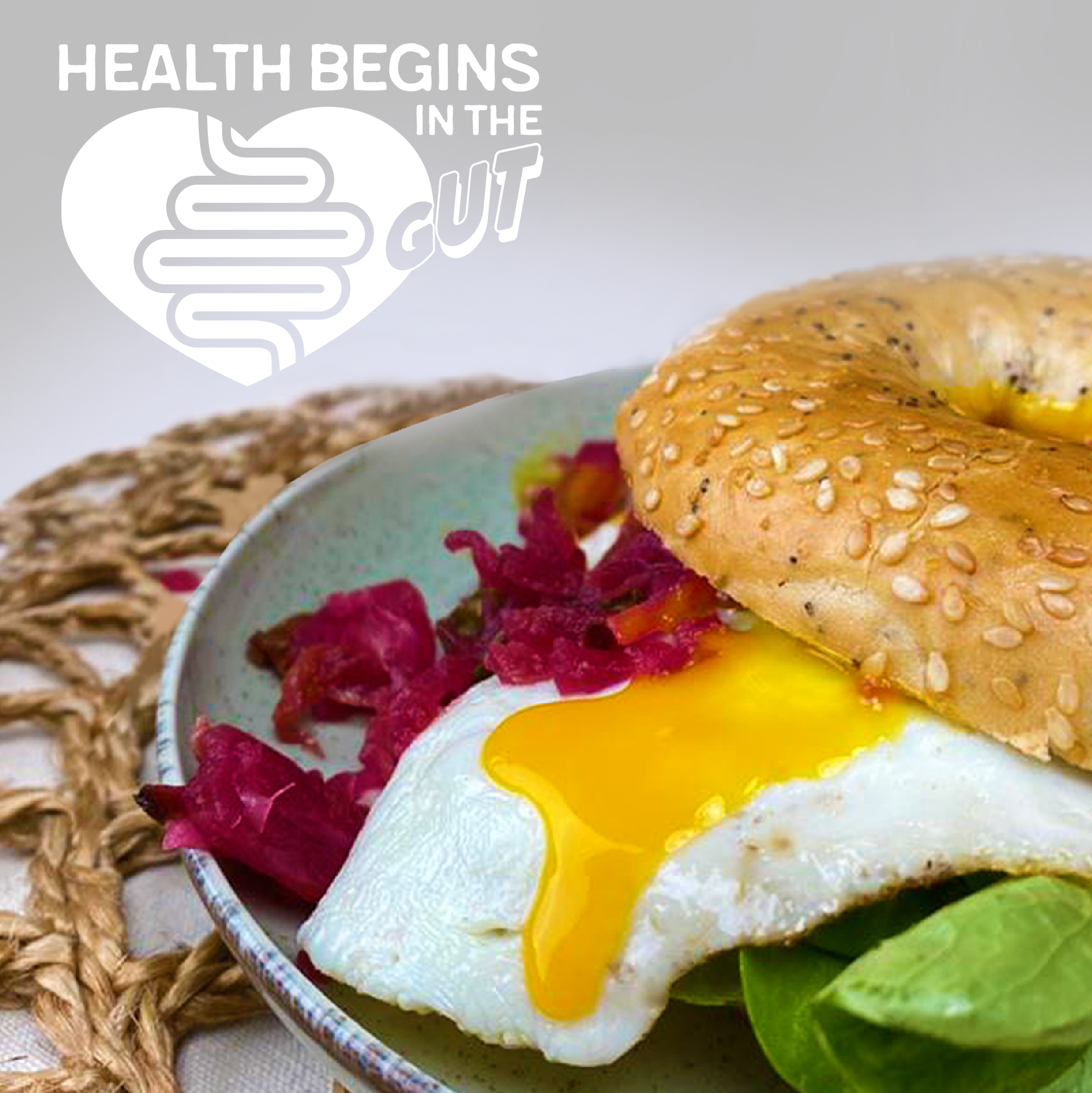 Health begins in the gut